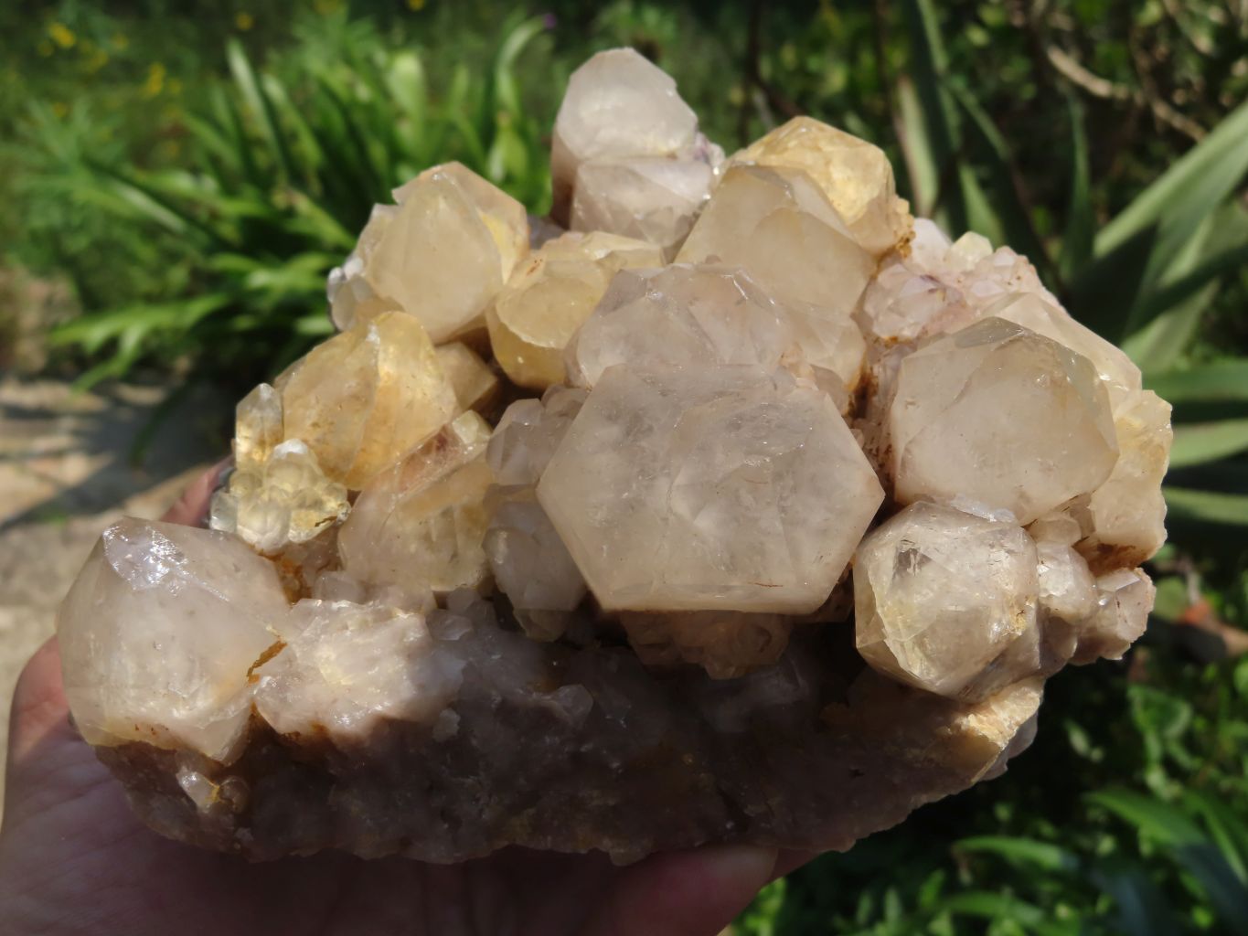 Natural Smokey Phantom Quartz Cluster x 1 From Lwena, Congo - TopRock
