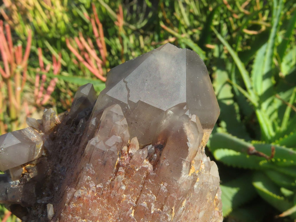 Natural Red Hematoid Quartz Crystals x 4 From Zimbabwe - TopRock