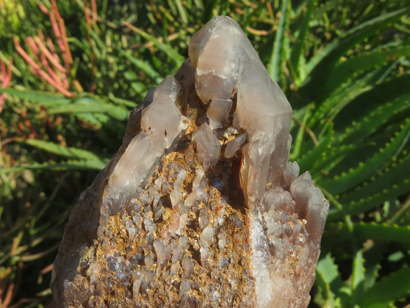 Natural Red Hematoid Quartz Crystals x 4 From Zimbabwe - TopRock