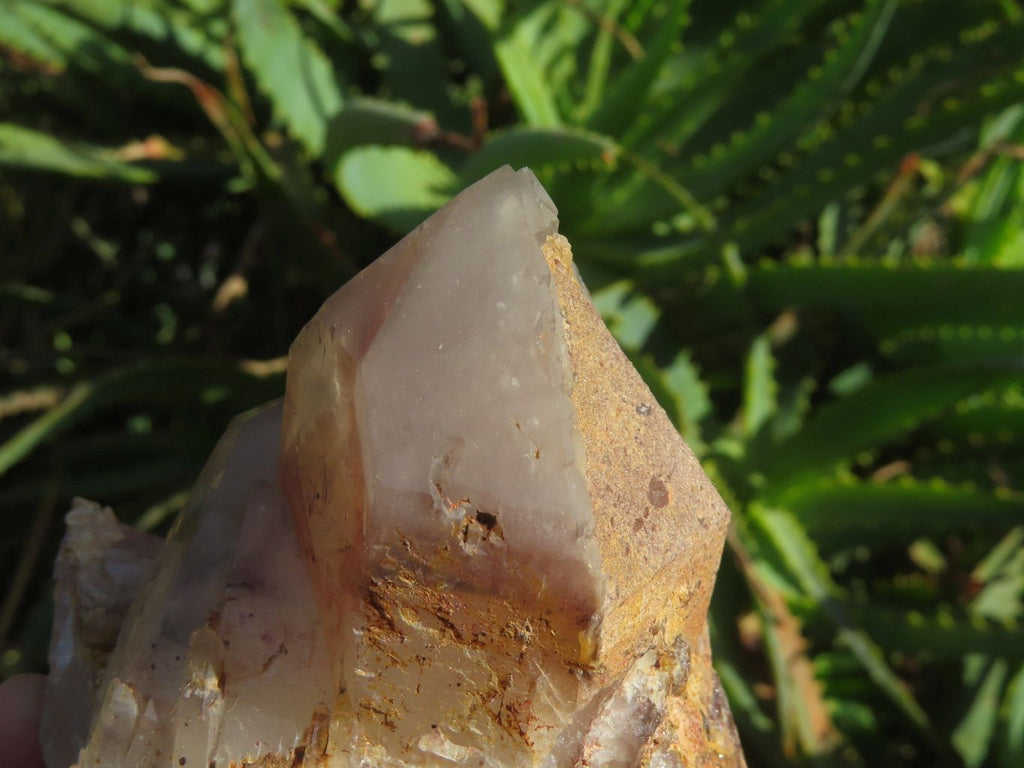 Natural Red Hematoid Quartz Crystals x 4 From Zimbabwe - TopRock
