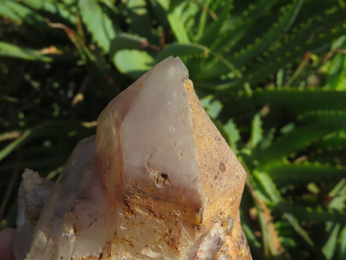 Natural Red Hematoid Quartz Crystals x 4 From Zimbabwe - TopRock