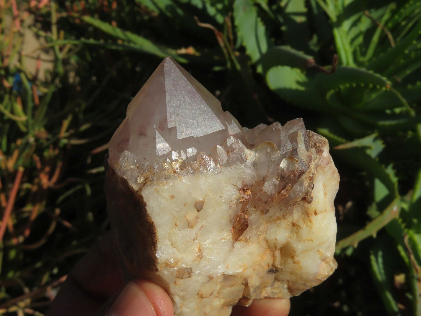 Natural Red Hematoid Quartz Crystals x 4 From Zimbabwe - TopRock