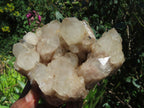 Natural Smokey Phantom Quartz Clusters x 3 From Lwena, Congo - TopRock