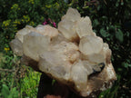Natural Smokey Phantom Quartz Clusters x 3 From Lwena, Congo - TopRock