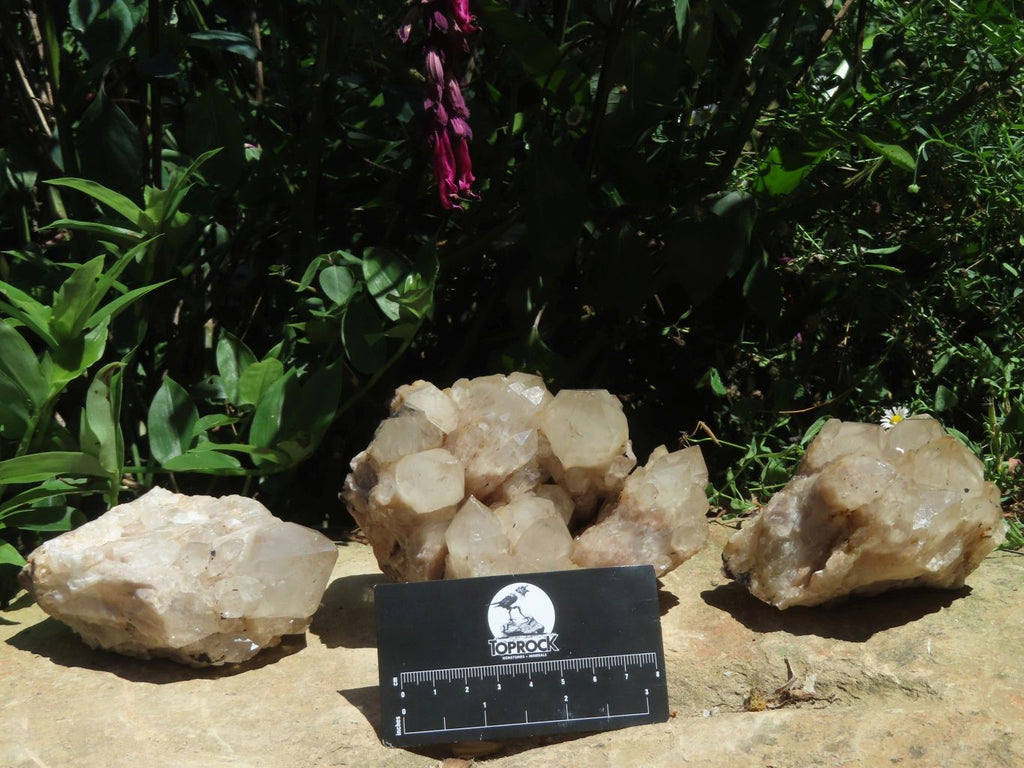 Natural Smokey Phantom Quartz Clusters x 3 From Lwena, Congo - TopRock