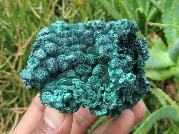 Natural Chatoyant Silky Malachite Specimens x 4 From Kasompe, Congo - TopRock
