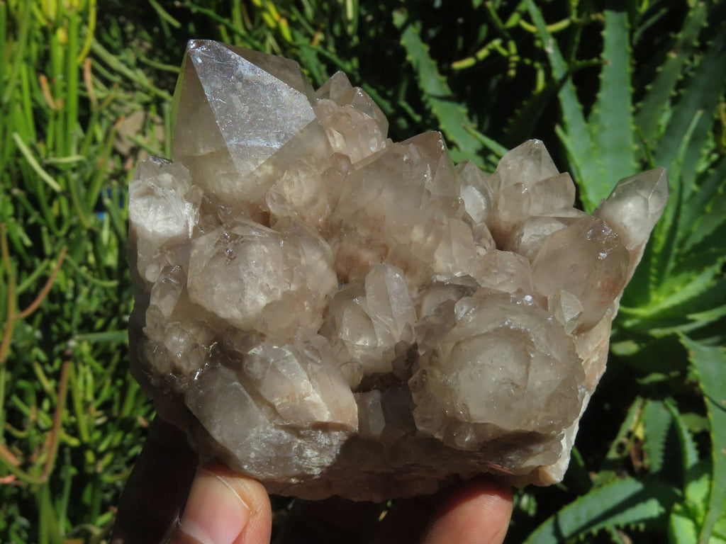 Natural White Phantom Cascading Smokey Lwena Quartz Clusters x 2 From Lwena, Congo - TopRock