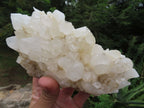 Natural Small Décor Quartz Cluster Specimens x 3 From Madagascar - TopRock