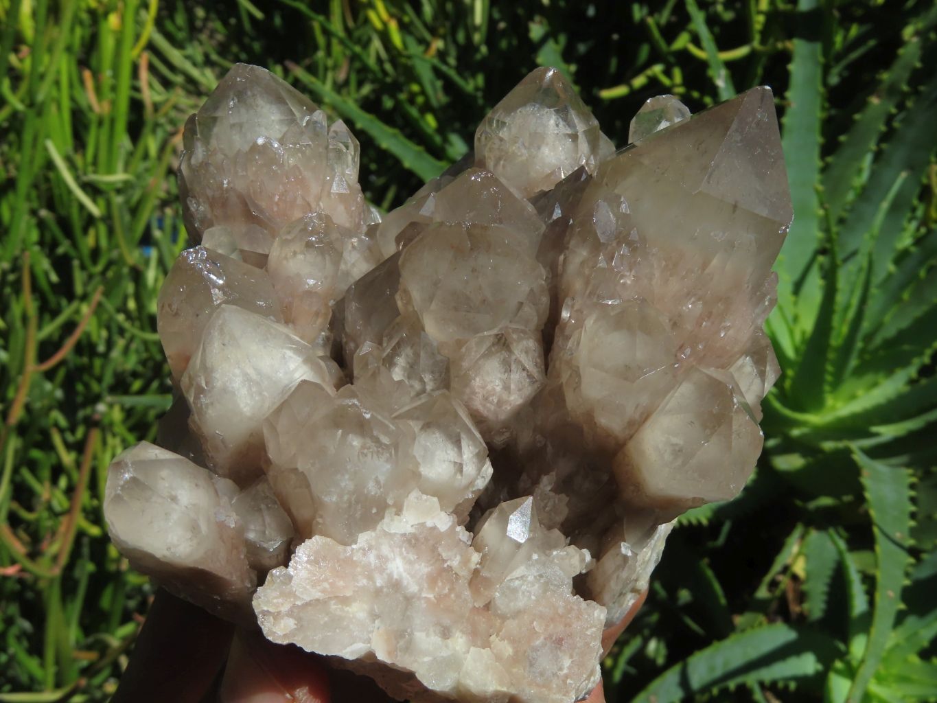 Natural White Phantom Cascading Smokey Lwena Quartz Clusters x 2 From Lwena, Congo - TopRock