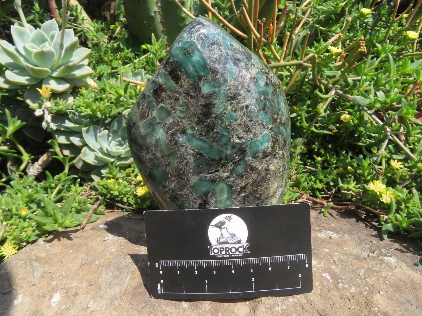 Polished Emeralds In Matrix Free Form x 1 From Zimbabwe - TopRock