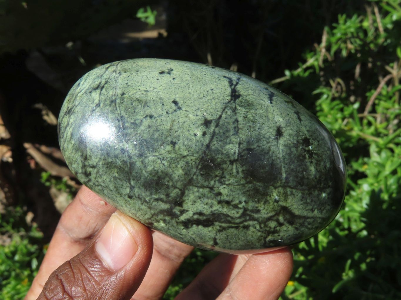Polished Leopard Stone Free Forms x 6 From Zimbabwe - TopRock