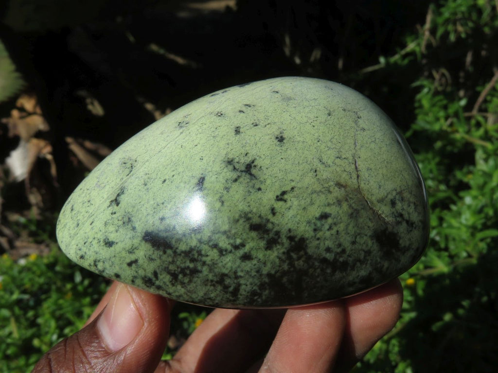 Polished Leopard Stone Free Forms x 6 From Zimbabwe - TopRock