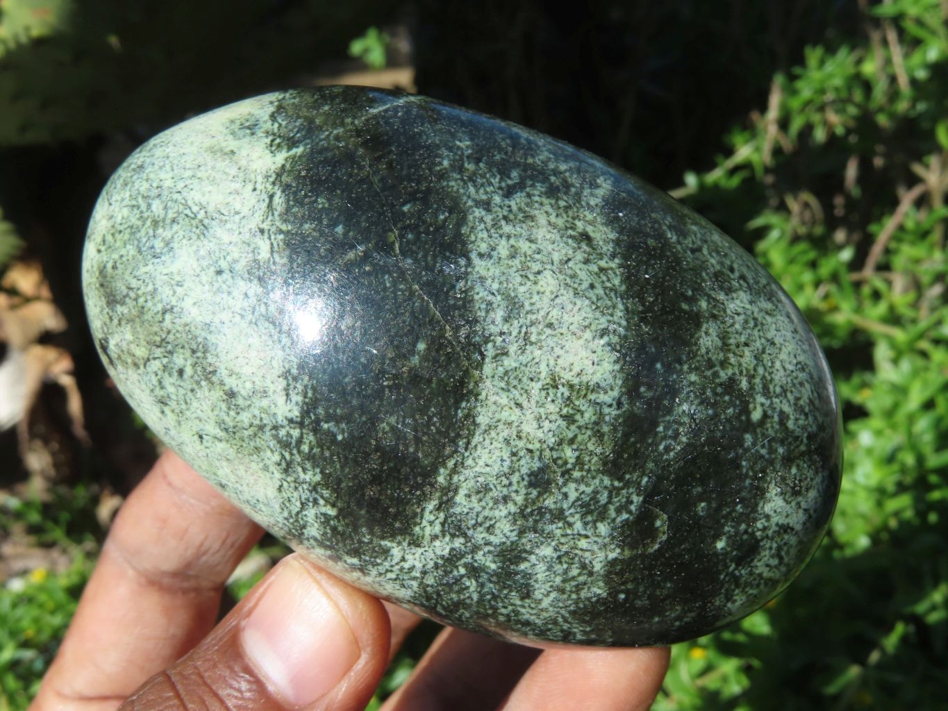 Polished Leopard Stone Free Forms x 6 From Zimbabwe - TopRock