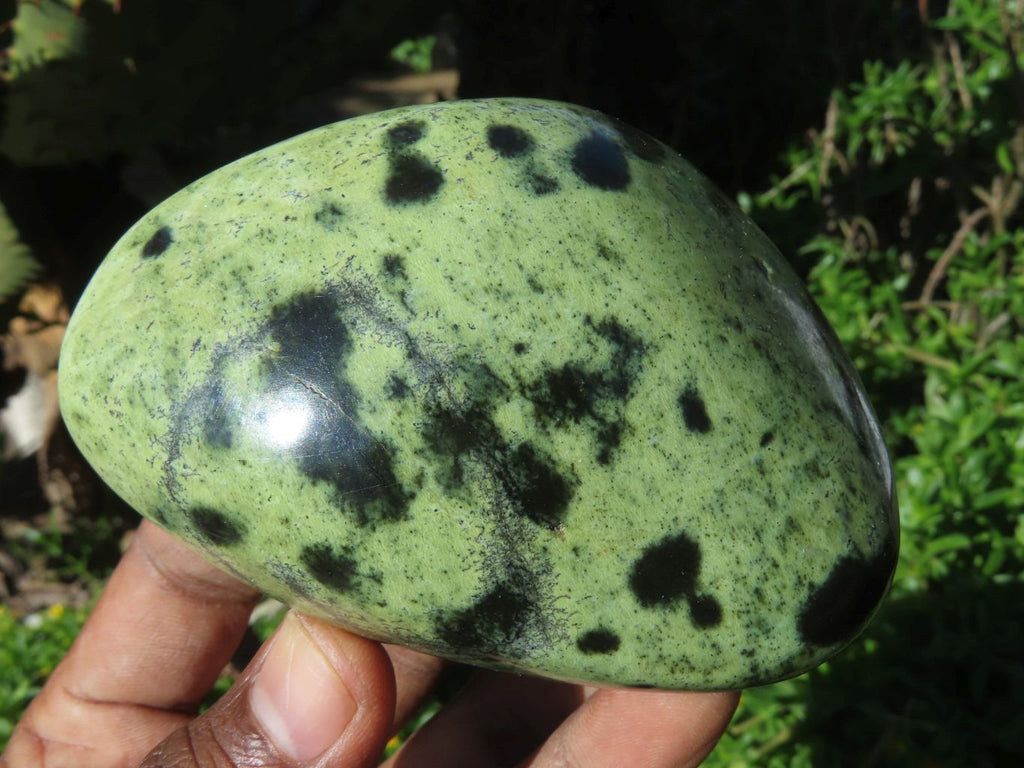 Polished Leopard Stone Free Forms x 6 From Zimbabwe - TopRock