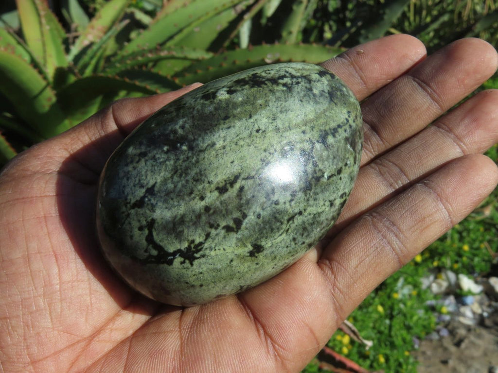 Polished Leopard Stone Free Forms x 6 From Zimbabwe - TopRock
