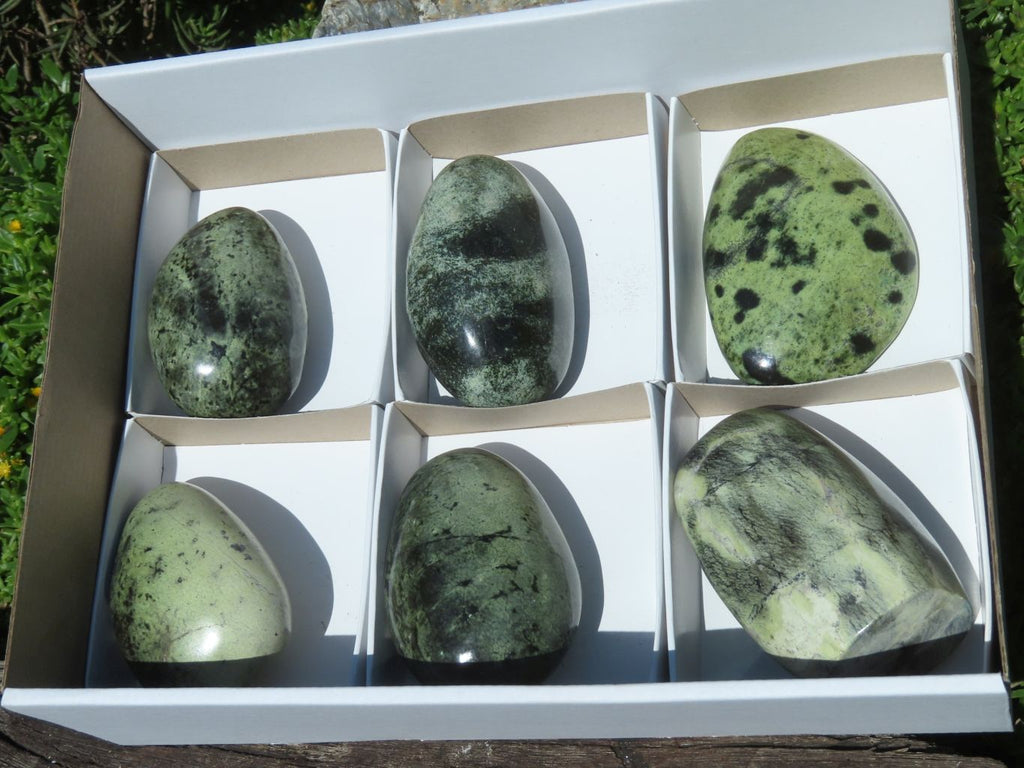 Polished Leopard Stone Free Forms x 6 From Zimbabwe - TopRock