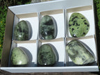 Polished Leopard Stone Free Forms x 6 From Zimbabwe - TopRock