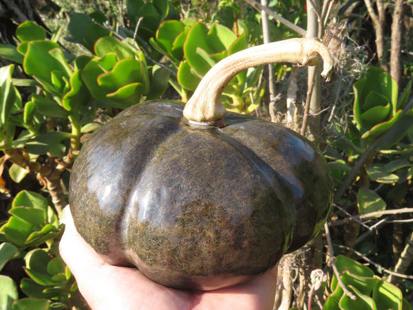 Polished Large Pumpkin Carving x 1 From Zimbabwe - TopRock