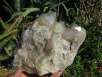 Natural Smokey Phantom Quartz Cluster x 1 From Lwena, Congo - TopRock