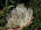 Natural Smokey Phantom Quartz Cluster x 1 From Lwena, Congo - TopRock