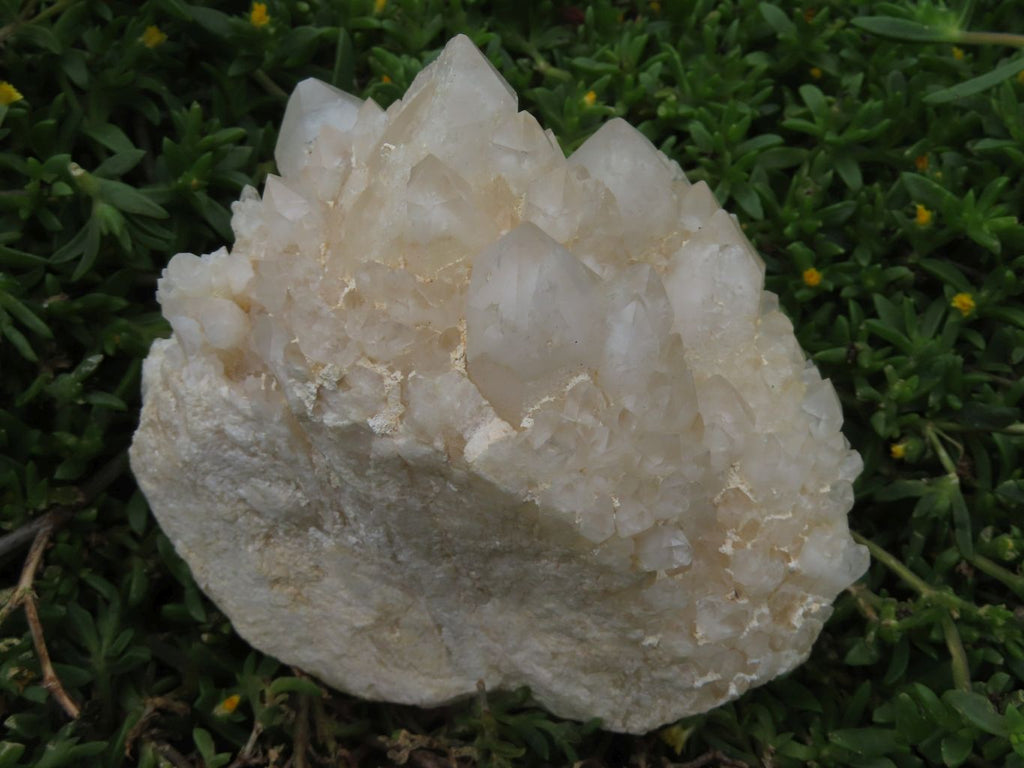 Natural Cascading White Phantom Quartz Splayed Fir Clusters x 2 From Ambatfinhandrana, Madagascar - TopRock
