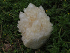 Natural Cascading White Phantom Quartz Splayed Fir Clusters x 2 From Ambatfinhandrana, Madagascar - TopRock