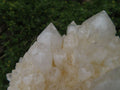 Natural Cascading White Phantom Quartz Splayed Fir Clusters x 2 From Ambatfinhandrana, Madagascar - TopRock