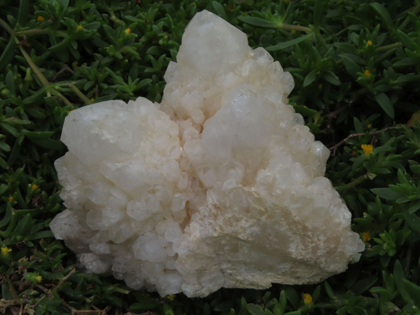 Natural Cascading White Phantom Quartz Splayed Fir Clusters x 2 From Ambatfinhandrana, Madagascar - TopRock